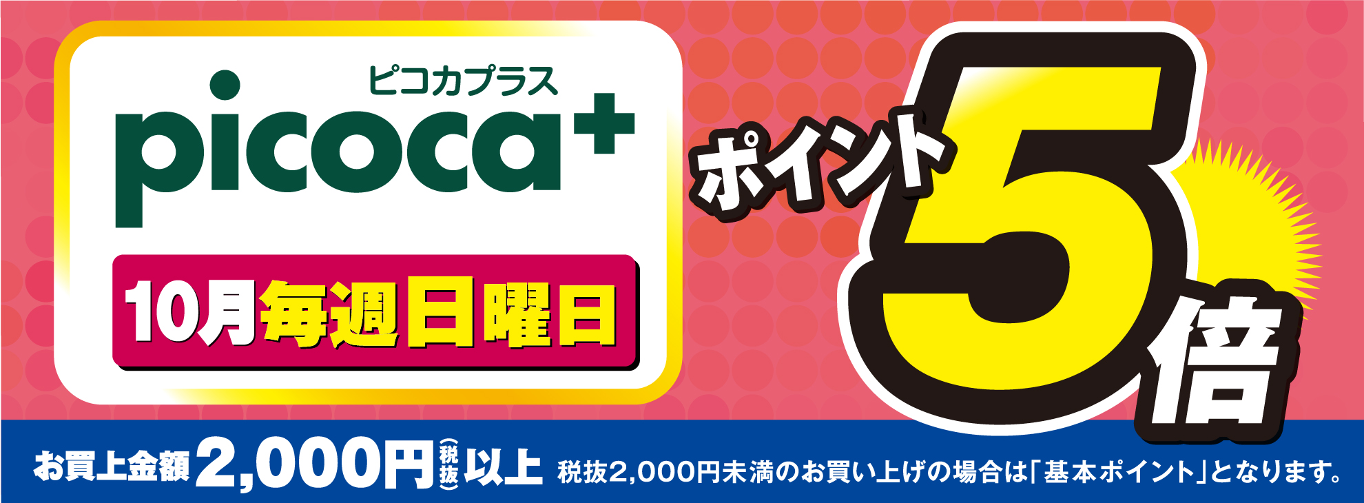 デリシア】ピコカプラス会員様限定 10月の毎週日曜日 ポイント5倍〔2,000円(税抜)以上のお買い上げで〕 | トピックス | アルピコグループ